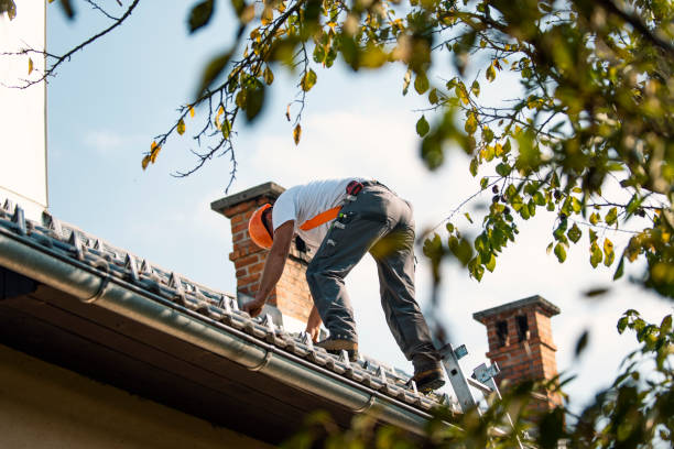 Best Roof Moss and Algae Removal  in Grantsburg, WI